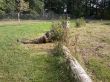 2012-09-28_16-00-29_722 (Medium).jpg